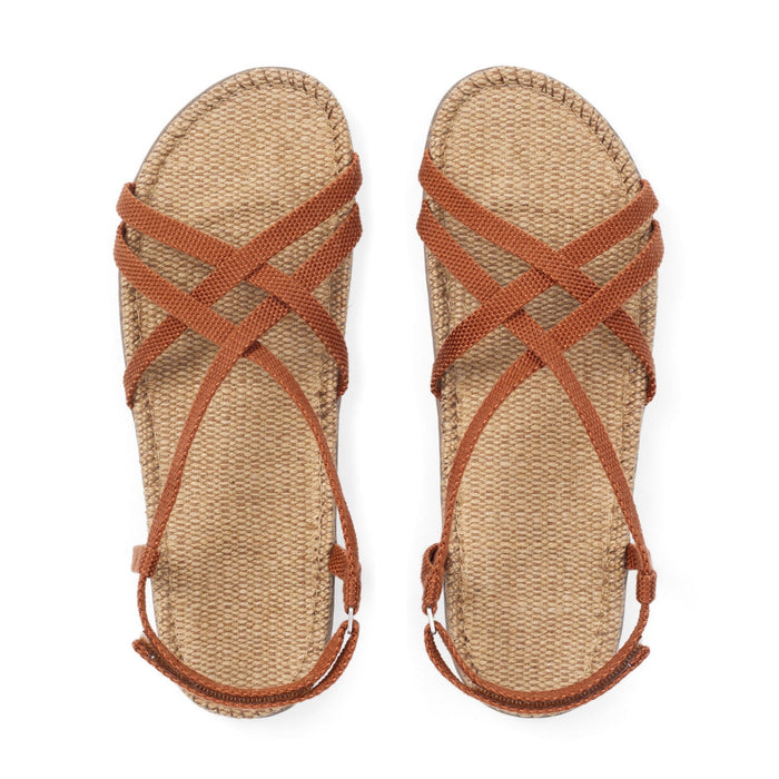 Shangies  - Sunny Sienna