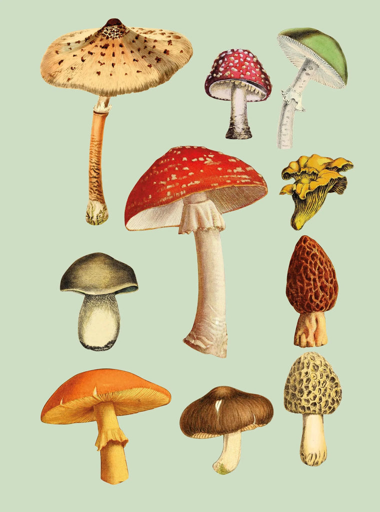 Stickersbog - Antiquarian