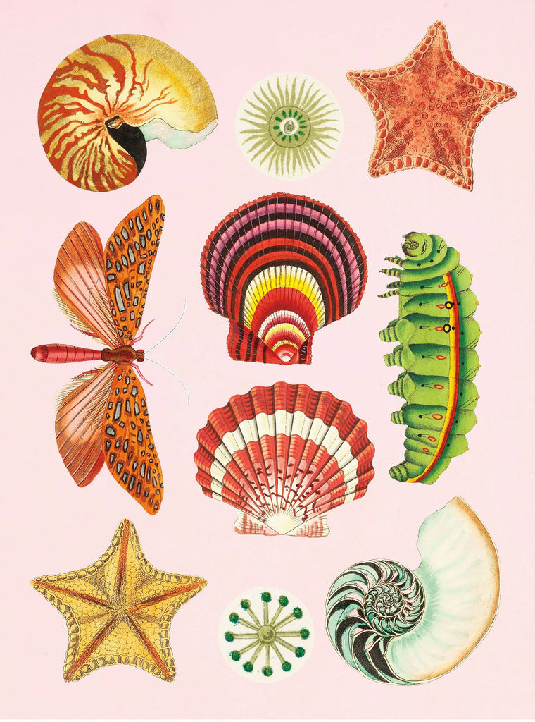 Stickersbog - Antiquarian