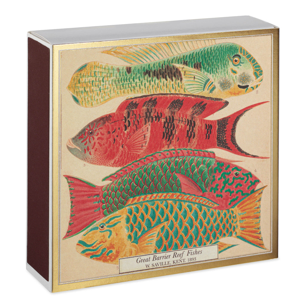 Fish