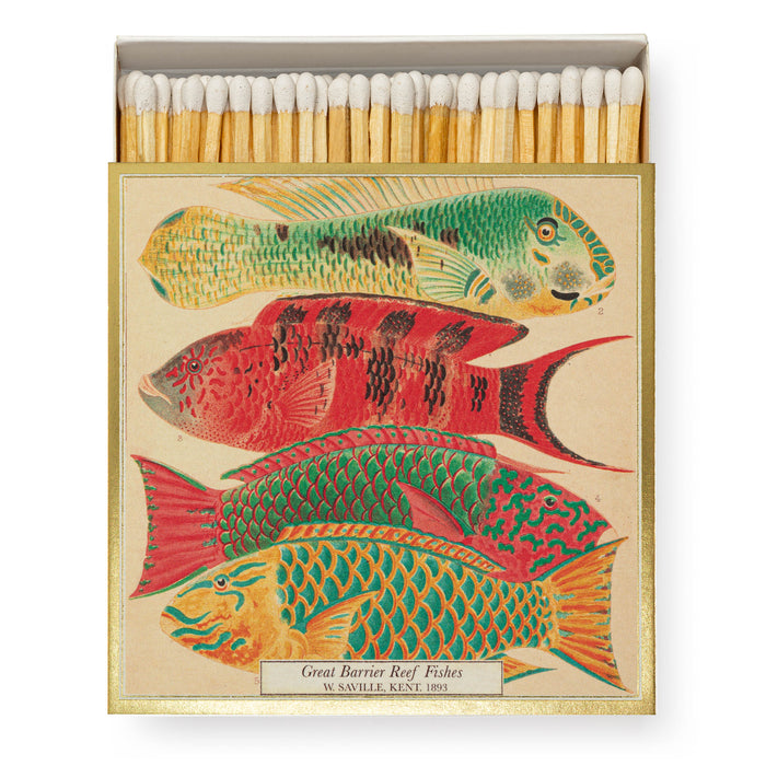 Fish