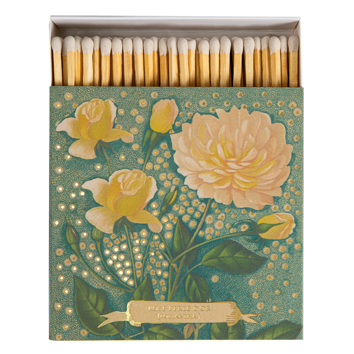 Rose Perle d'or