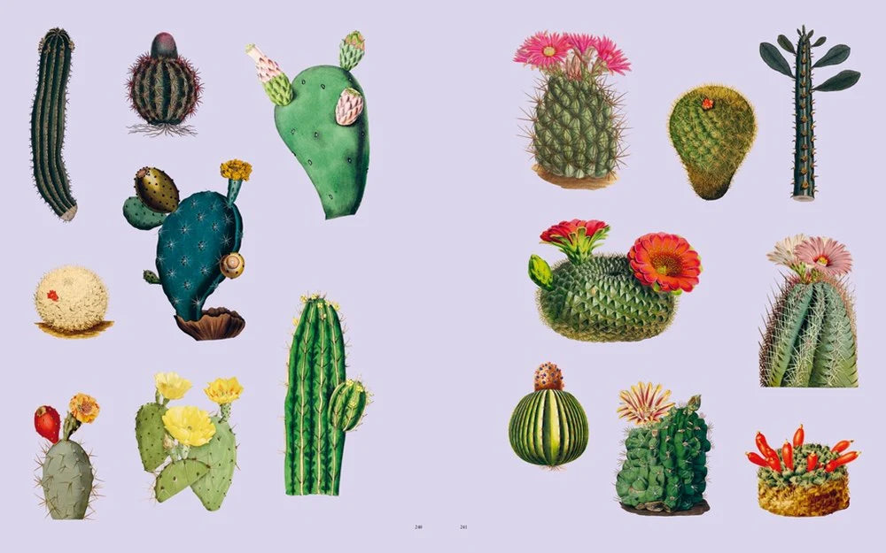 Stickersbog - Extraordinary Things