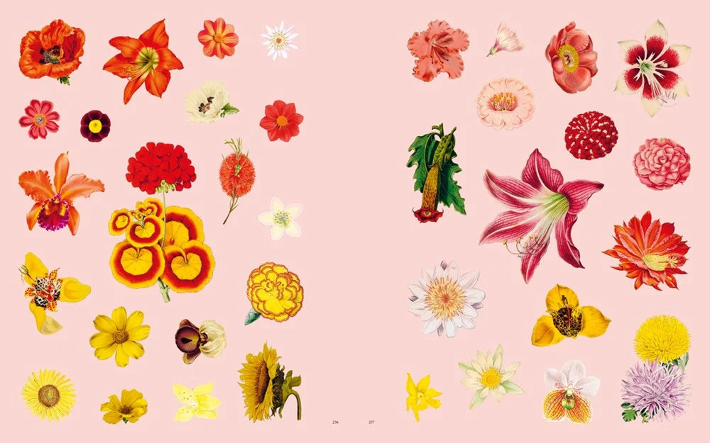 Stickersbog - Extraordinary Things