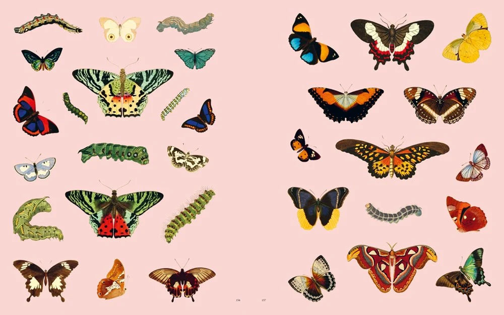 Stickersbog - Extraordinary Things