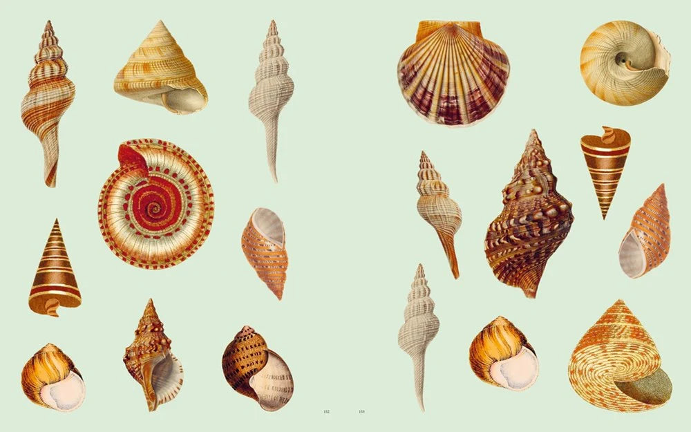 Stickersbog - Extraordinary Things