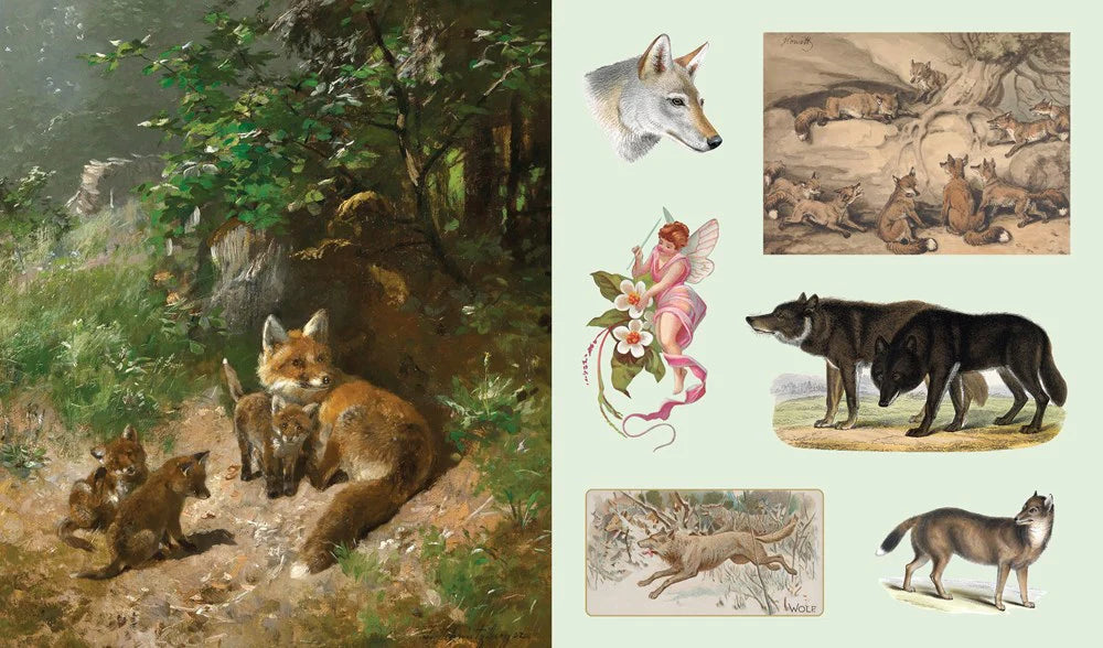 Stickersbog - Treasury of Woodland Adventures