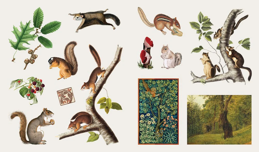 Stickersbog - Treasury of Woodland Adventures