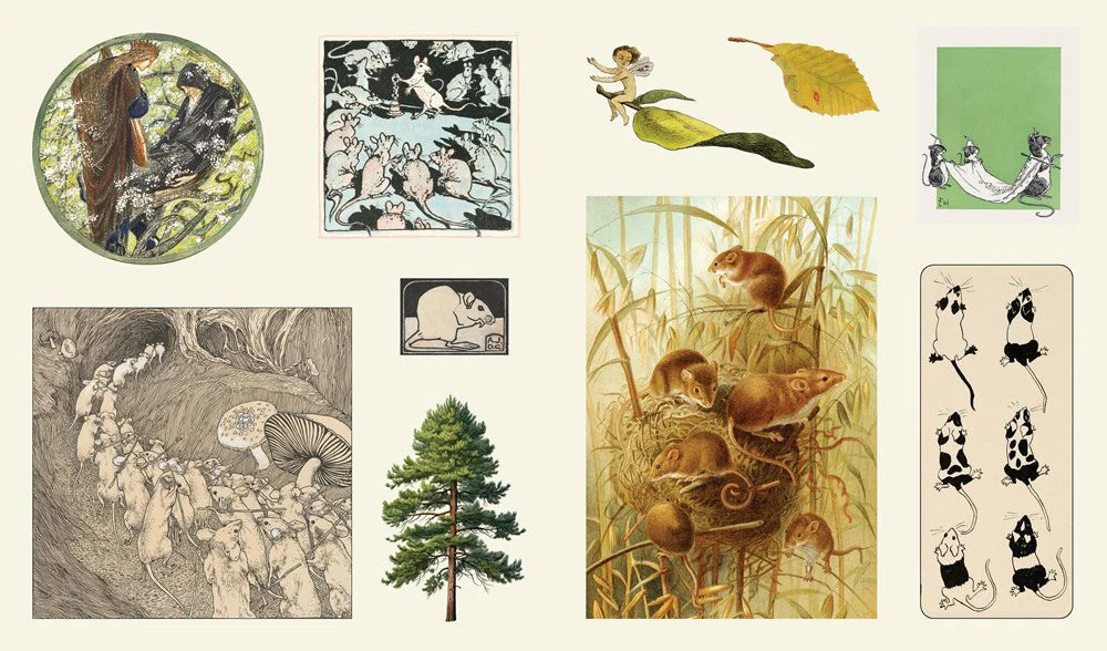 Stickersbog - Treasury of Woodland Adventures