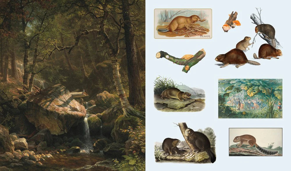 Stickersbog - Treasury of Woodland Adventures