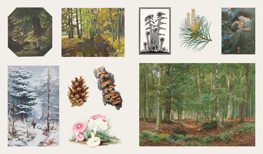 Stickersbog - Treasury of Woodland Adventures